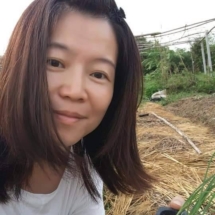 金惠卿